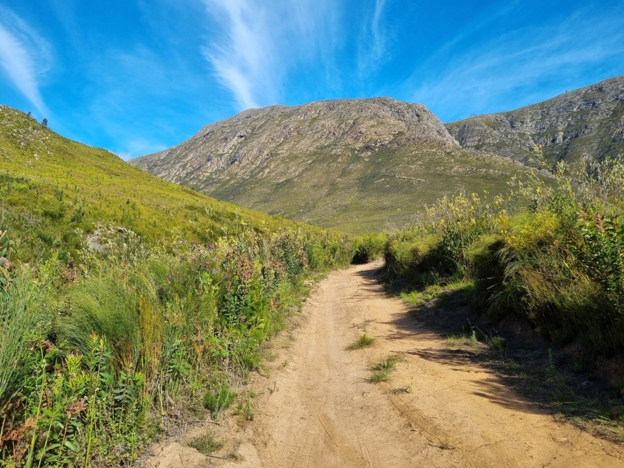 0 Bedroom Property for Sale in Joubertina Eastern Cape